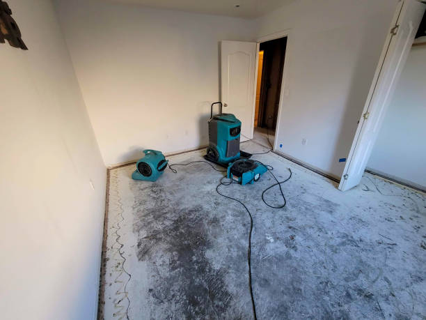 Best Water damage restoration mold remediation  in Wood Ridge, NJ