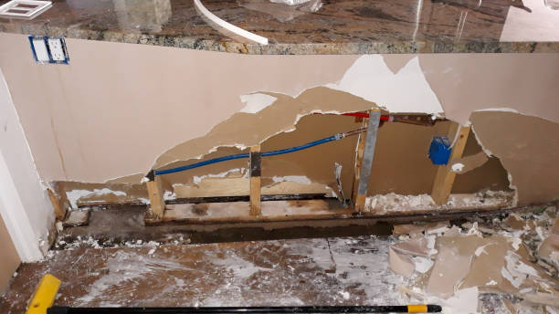 Best Water damage contractors near me  in Wood Ridge, NJ