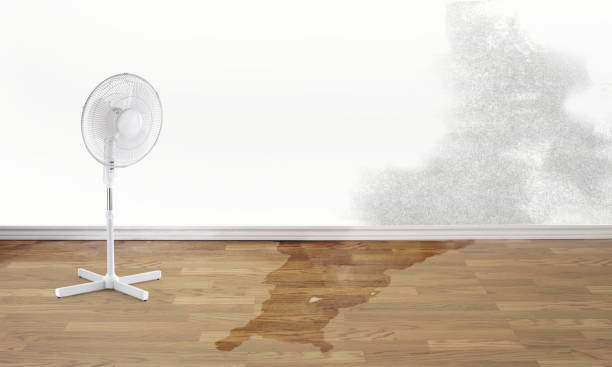 Best Water damage cleanup near me  in Wood Ridge, NJ