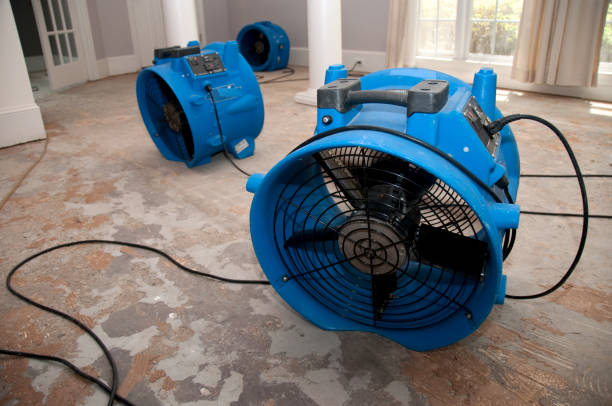 Water damage restoration experts in Wood Ridge, NJ