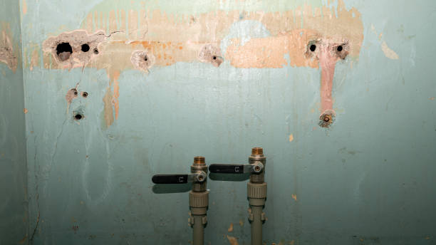 Best Water damage restoration experts  in Wood Ridge, NJ