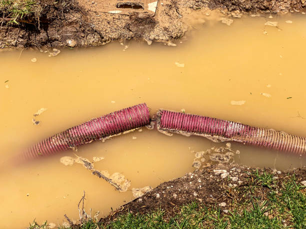 Best Basement water damage restoration  in Wood Ridge, NJ